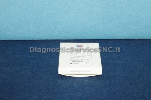 Erythromycin 1x50