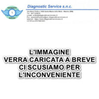 Color WBC (Stromatolyser 4DS) 42 ml