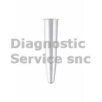 Prov. conica polistirolo 10 ml con bordo 16 x 100 mm 2000 pz