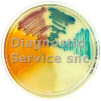 Chromatic Detection 100 gr